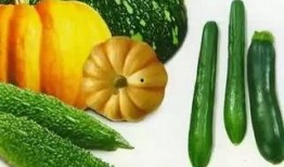 免费在线观看吃瓜,揭秘热门事件幕后真相